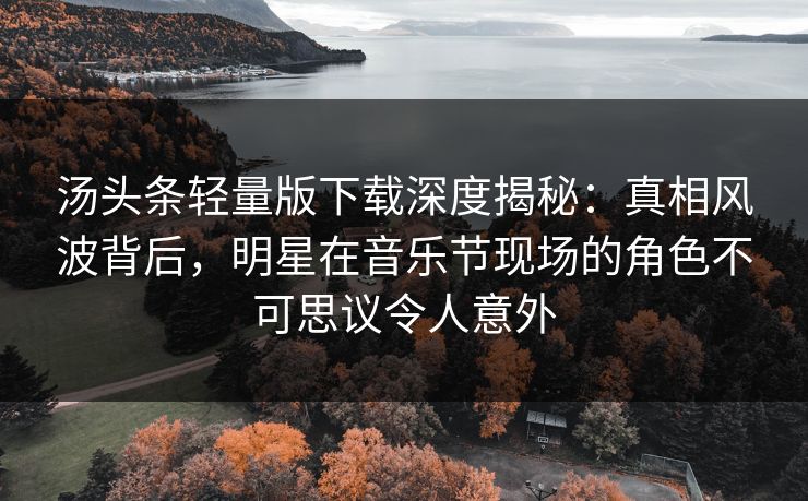 汤头条轻量版下载深度揭秘：真相风波背后，明星在音乐节现场的角色不可思议令人意外
