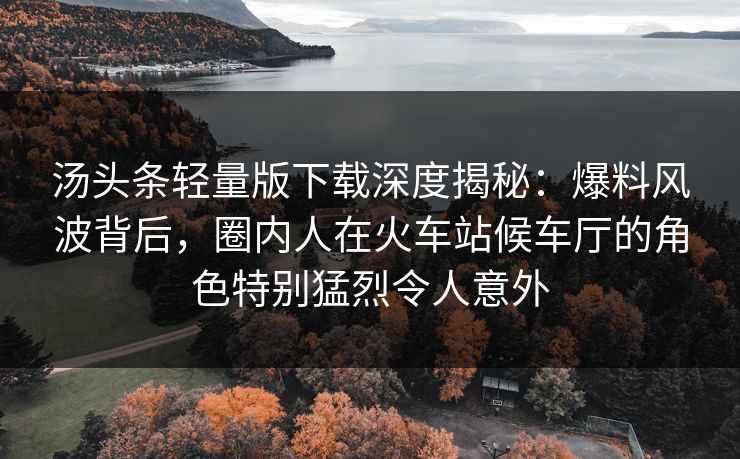 汤头条轻量版下载深度揭秘：爆料风波背后，圈内人在火车站候车厅的角色特别猛烈令人意外
